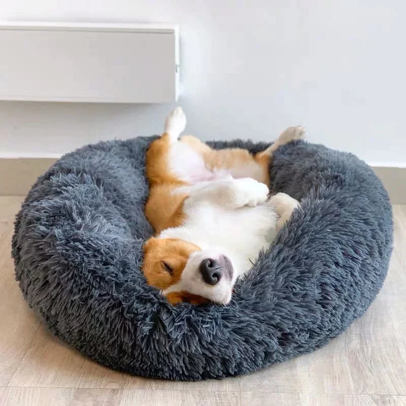 Beruhigendes Hundebett