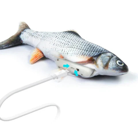 Tanzender Fisch Katzenspielzeug