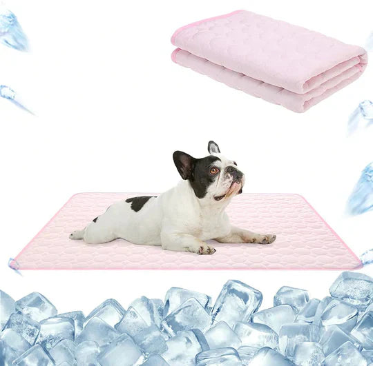 Premium Kühlmatte für Hunde