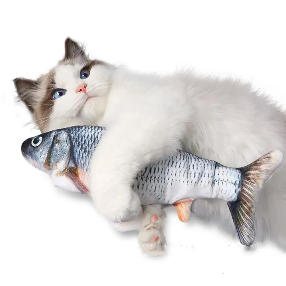 Tanzender Fisch Katzenspielzeug