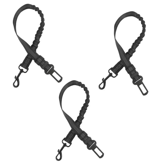 Hund Sicherheitsgurt