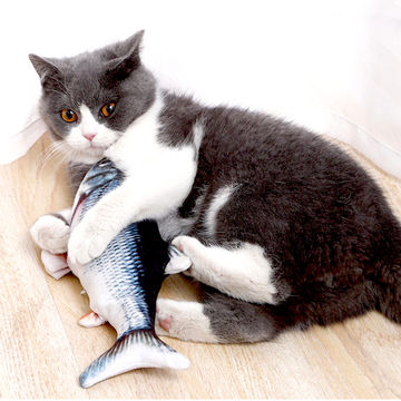 Tanzender Fisch Katzenspielzeug