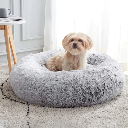 Beruhigendes Hundebett