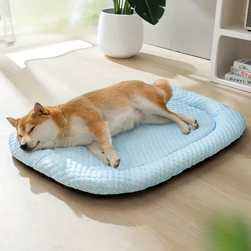 Kühlendes Hundebett