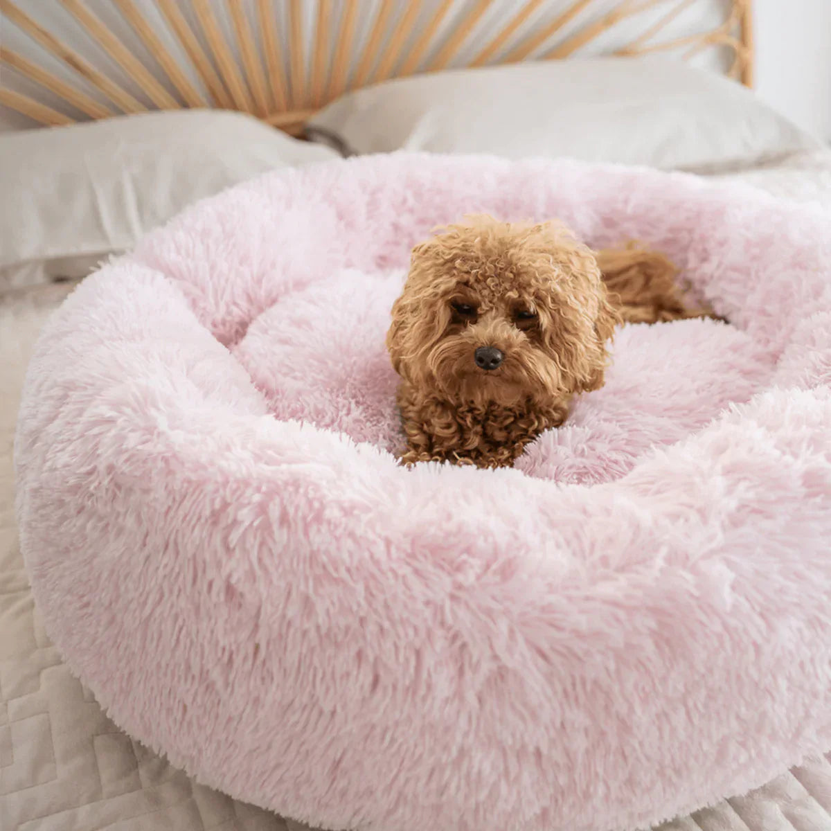Beruhigendes Hundebett