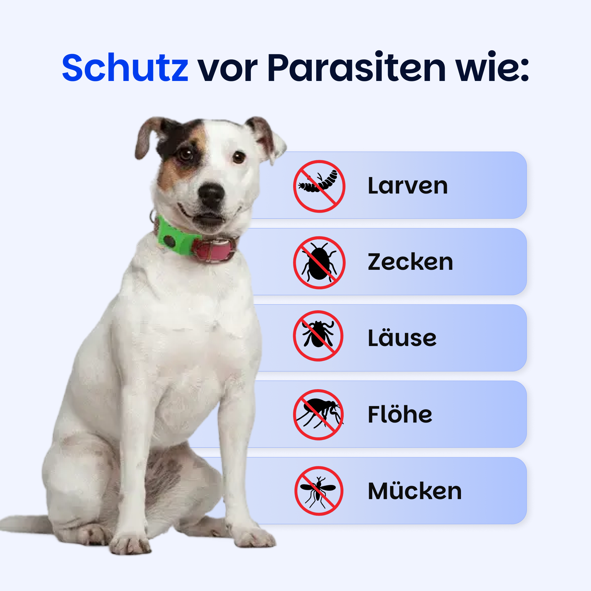 Floh- und Zeckenschutz Halsband