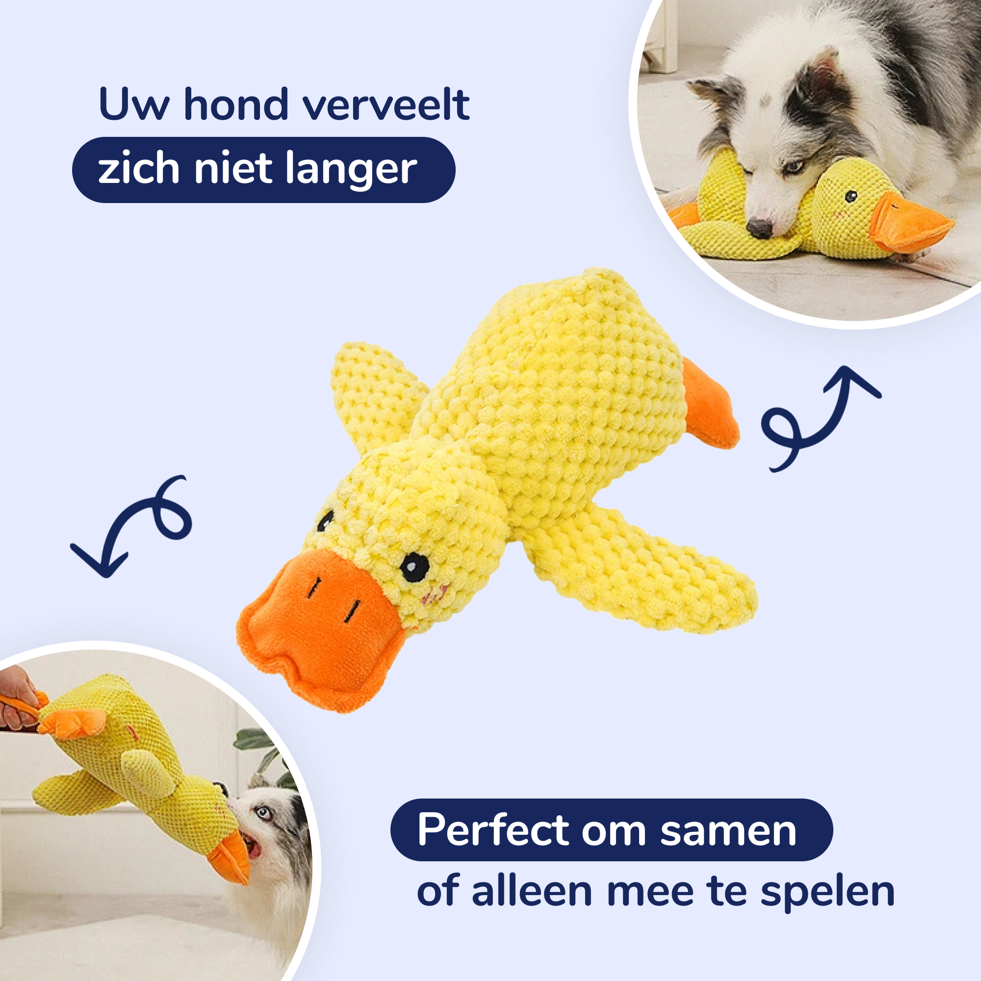 Beruhigende Ente