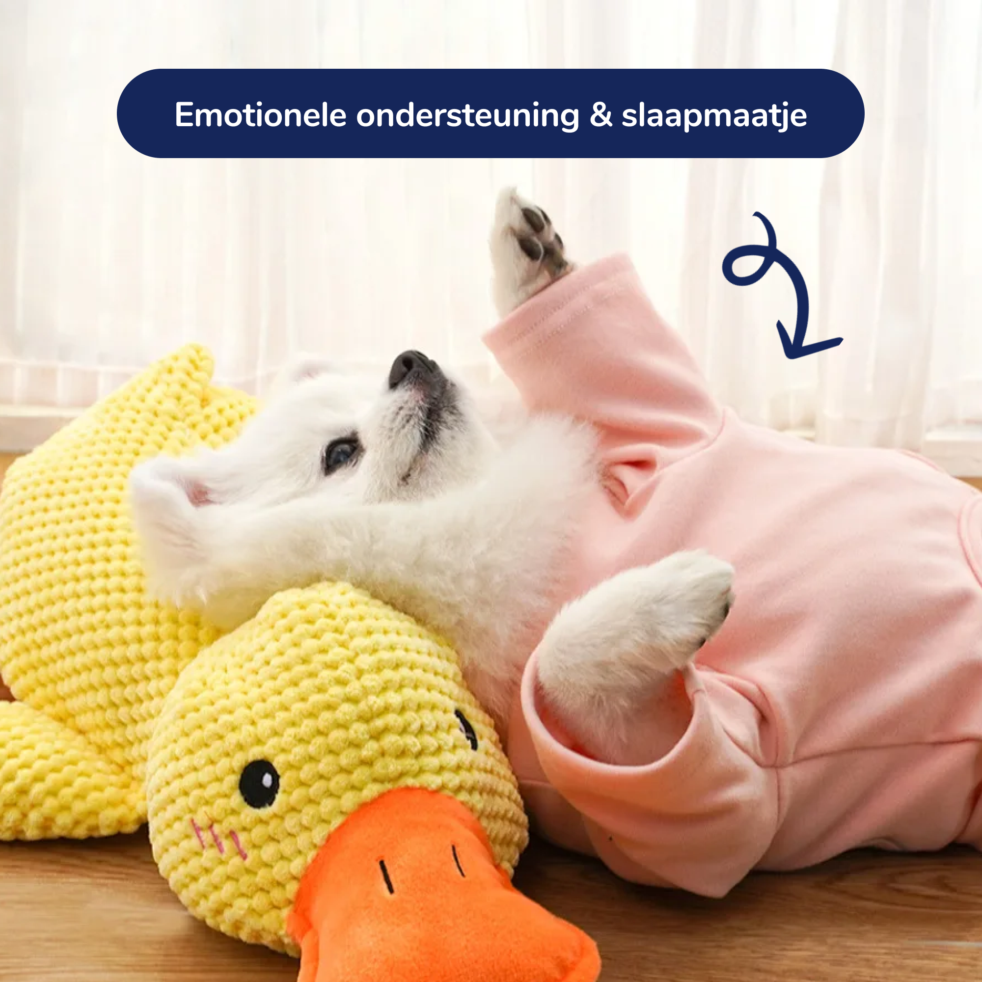 Beruhigende Ente