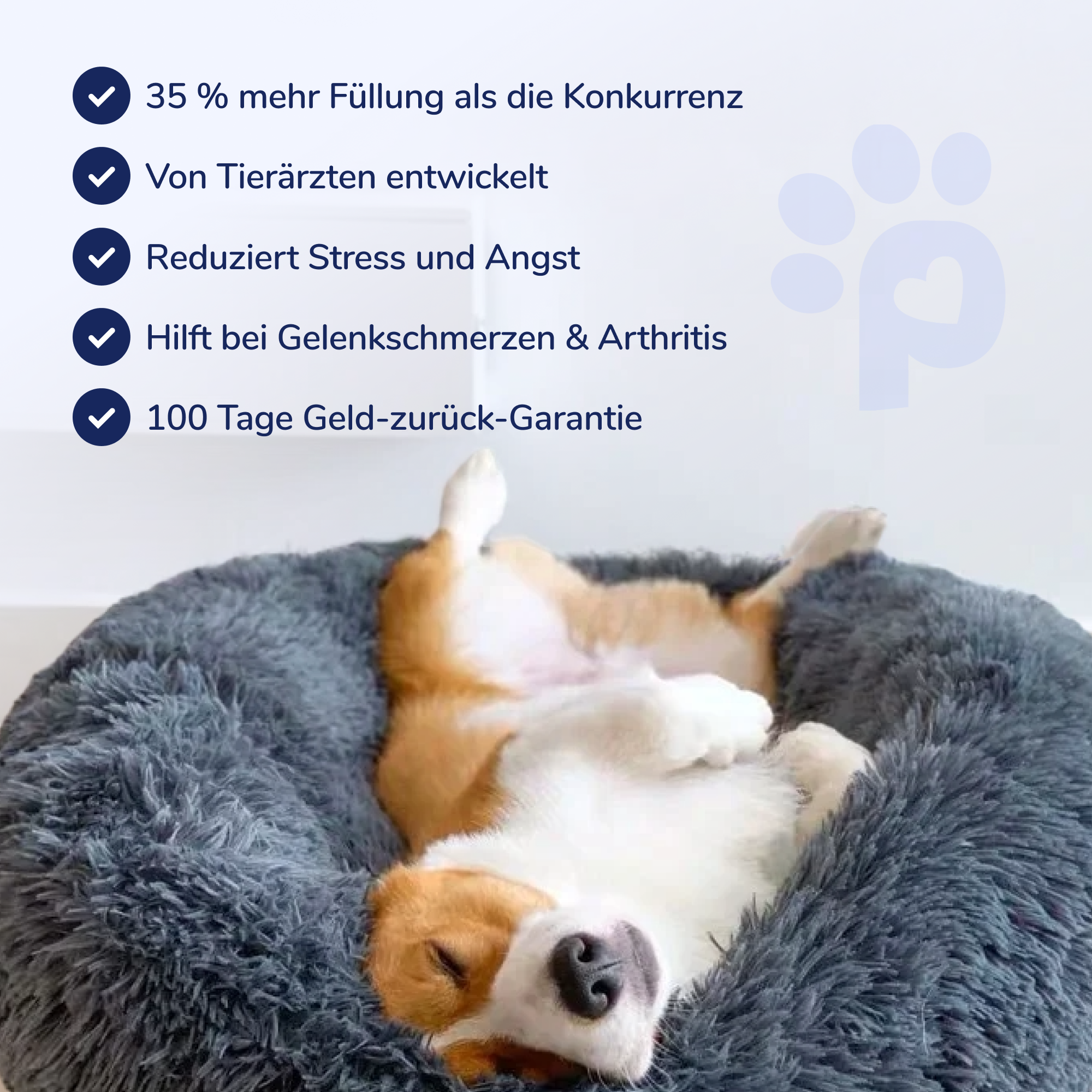 Beruhigendes Hundebett
