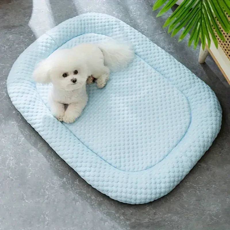 Kühlendes Hundebett