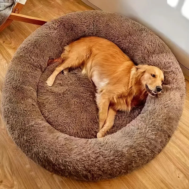Beruhigendes Hundebett