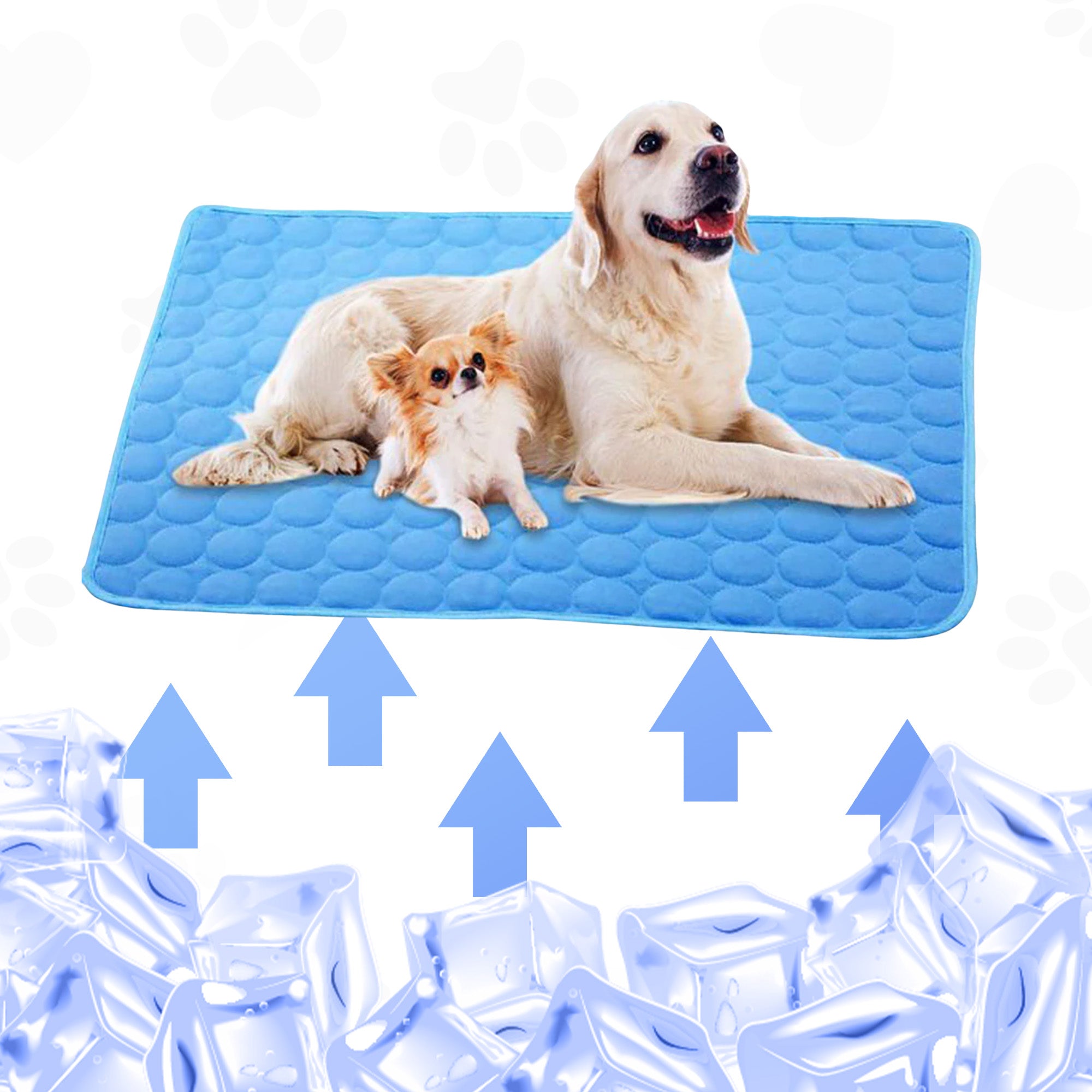 Premium Kühlmatte für Hunde