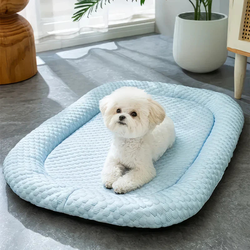Kühlendes Hundebett