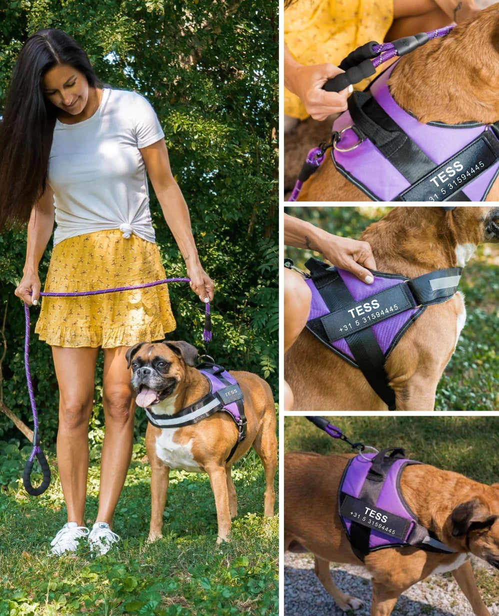Personalisierte Hunde-Geschirr ohne Ziehen